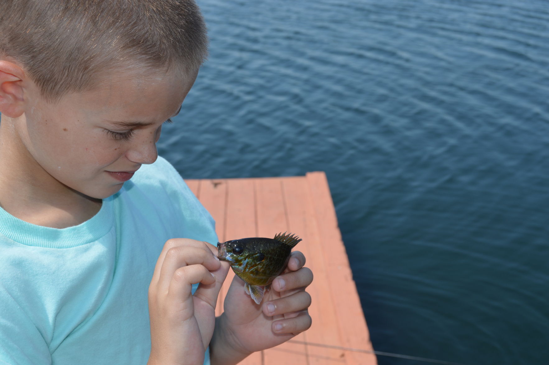 Off the dock winner